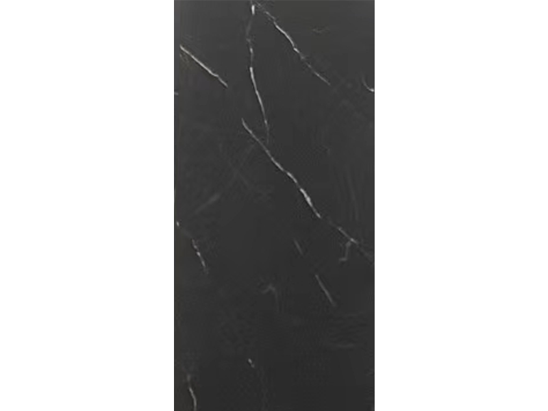 China Black Slab for Counter Tops